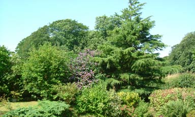 Macclesfield Forest